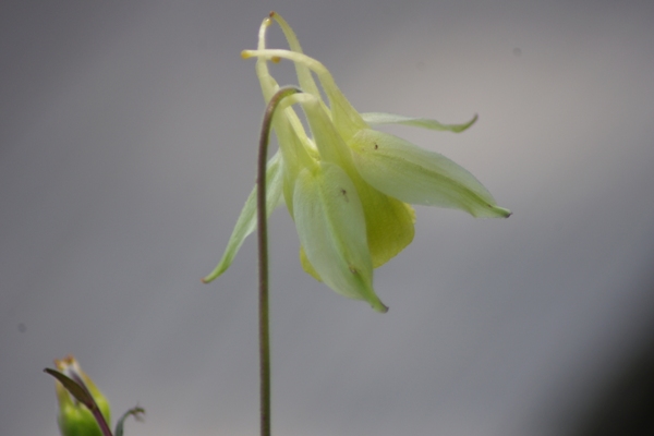 c0210728_993720.jpg