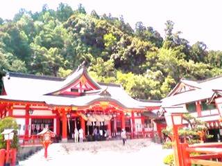 d0165735_8124246.jpg