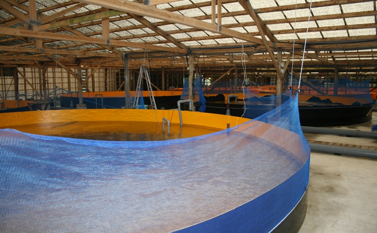 f0042737_14553749.jpg