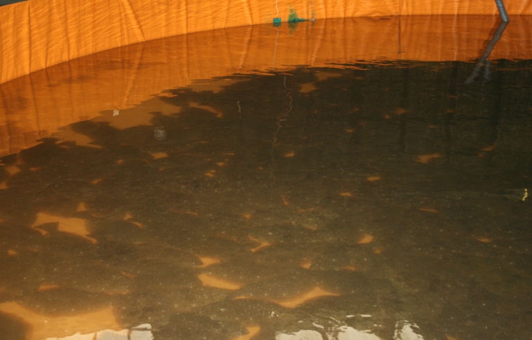 f0042737_15151569.jpg