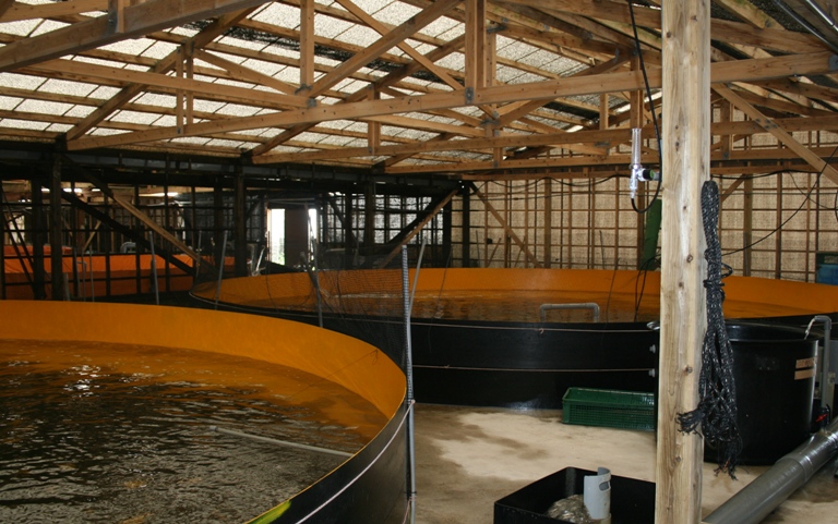 f0042737_1532477.jpg