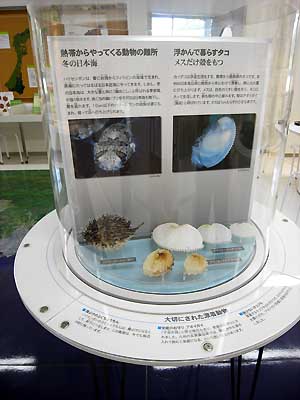 c0019338_16494544.jpg