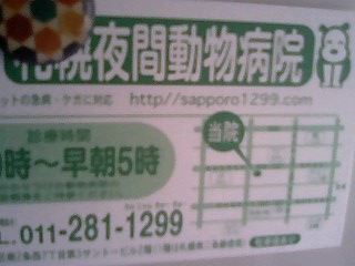 c0117239_8143752.jpg