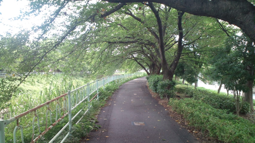 a0153243_0484572.jpg