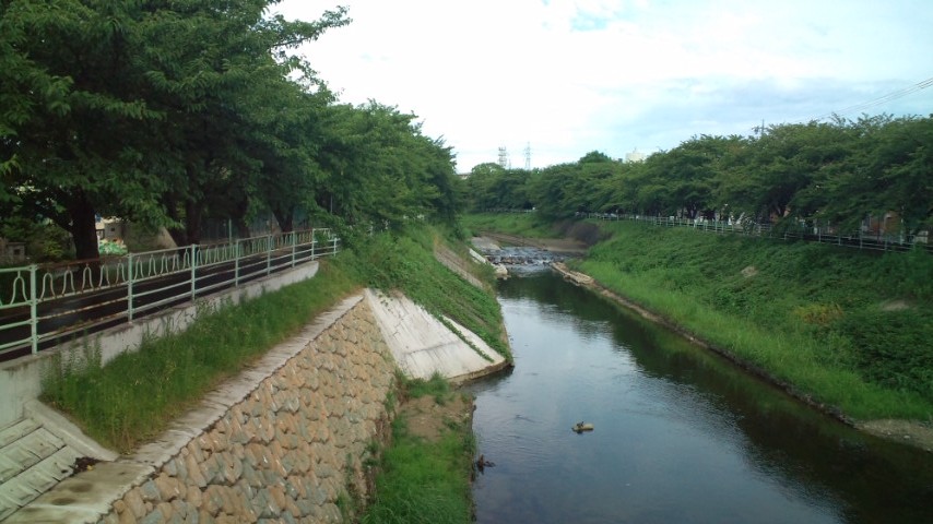 a0153243_0514452.jpg
