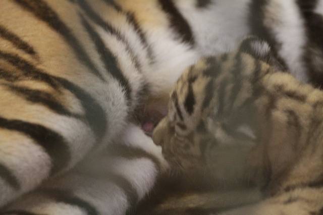 e0123945_2331915.jpg