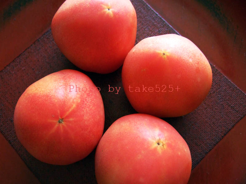 a0116946_0374245.jpg