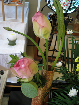 c0145449_14174694.jpg