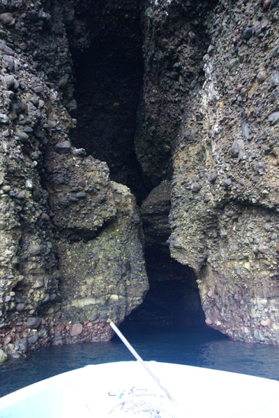 f0214649_1149098.jpg
