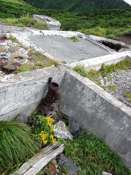 f0225953_2301063.jpg