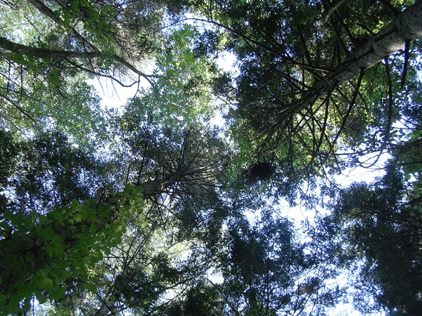 f0225953_2395791.jpg