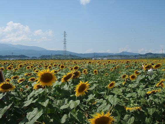 b0177355_234487.jpg