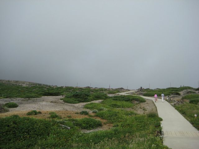f0191656_2111895.jpg