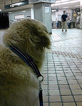 c0097558_1147689.jpg