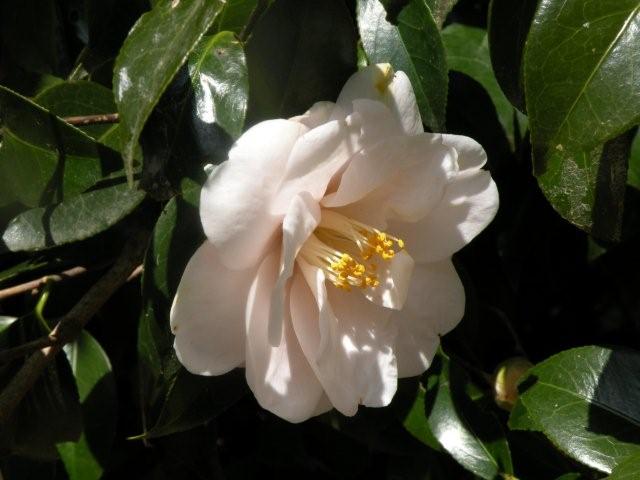 f0013459_12423299.jpg