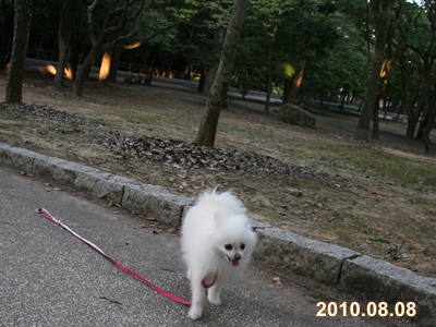 d0054461_205533100.jpg