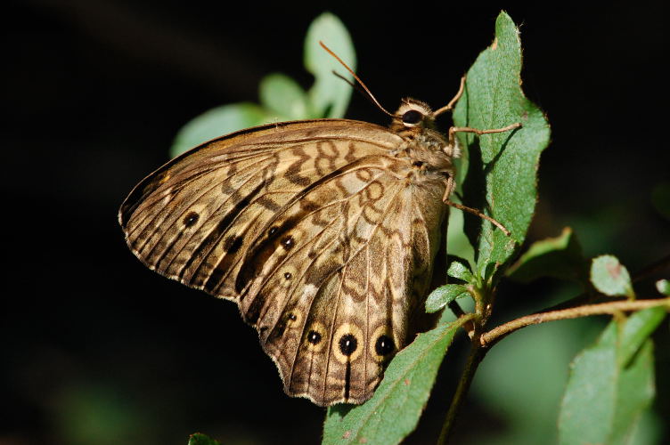 b0167762_17261038.jpg