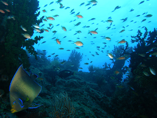 b0062363_2151555.jpg