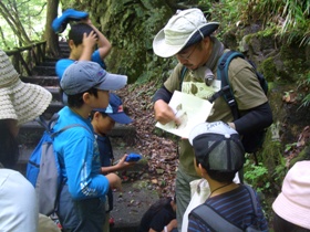 e0197164_8464695.jpg