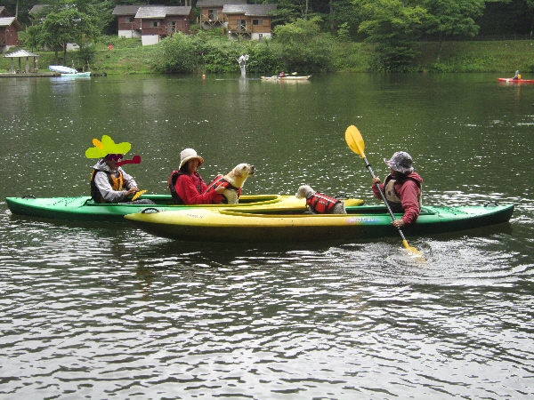 f0203369_20334811.jpg