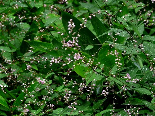 d0084473_21515666.jpg