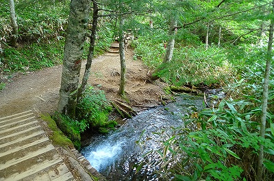 f0182173_9494278.jpg