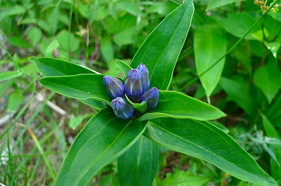 f0182173_9504963.jpg