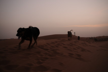 e0066474_16492739.jpg