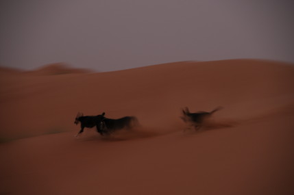 e0066474_16503240.jpg