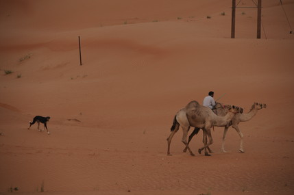 e0066474_1659148.jpg