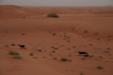 e0066474_17123846.jpg