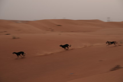 e0066474_1712683.jpg
