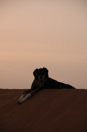 e0066474_1734241.jpg
