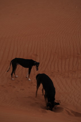 e0066474_17361276.jpg