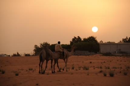 e0066474_17384475.jpg