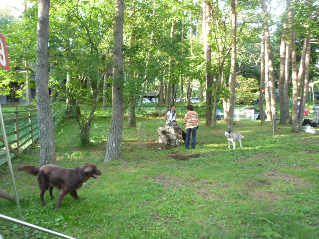 e0165577_150409.jpg