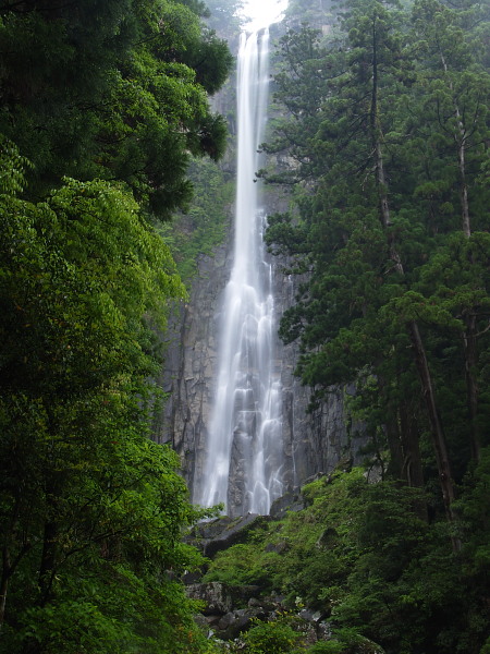 f0054677_7264415.jpg