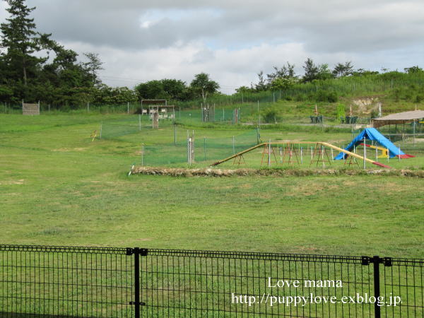 b0136683_1527448.jpg