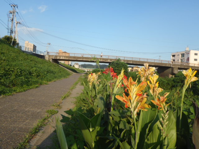 c0195284_13534849.jpg