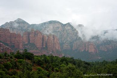 e0148185_1062235.jpg