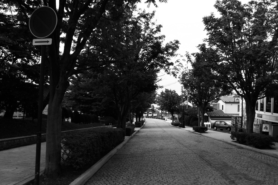 e0051186_2054176.jpg