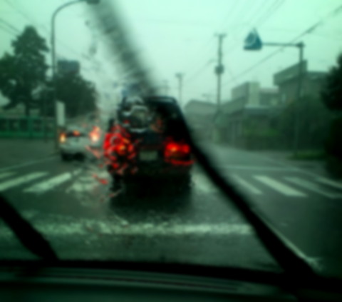 a0007388_12494180.jpg