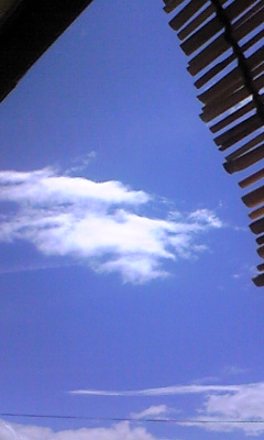 a0026089_12451563.jpg