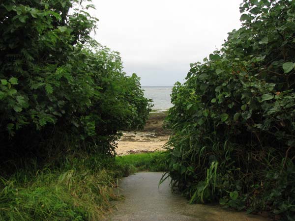 c0064389_11475743.jpg