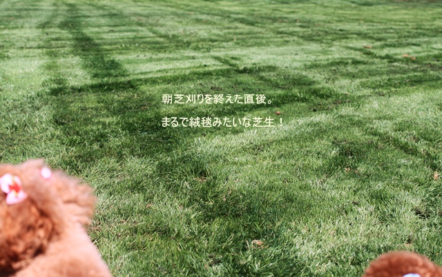 c0164491_353854.jpg