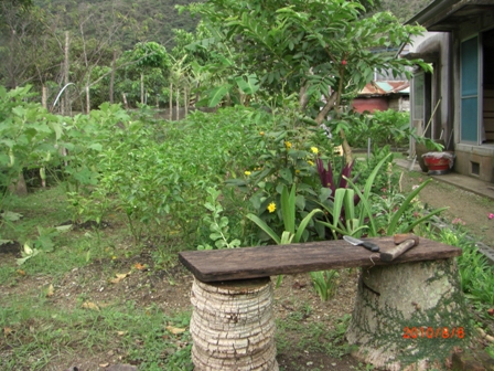 a0132094_16553558.jpg