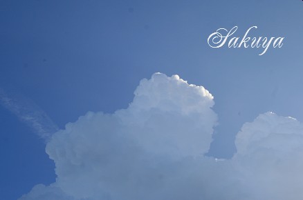 e0122194_13594946.jpg