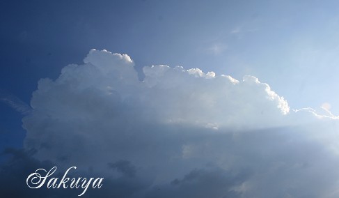 e0122194_140209.jpg