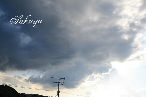 e0122194_142020.jpg