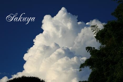 e0122194_15142794.jpg